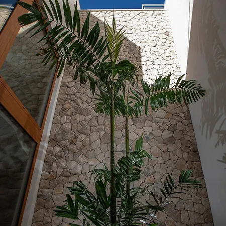 Luxury אכסניה *